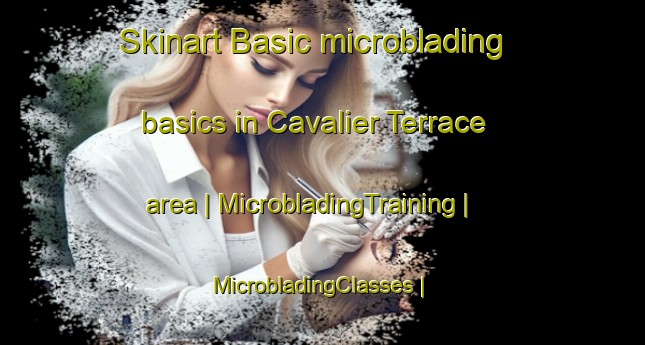 Skinart Basic microblading basics in Cavalier Terrace area | MicrobladingTraining | MicrobladingClasses | SkinartTraining-United States